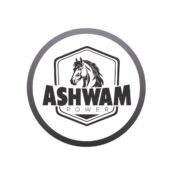 ASHWAM POWER