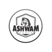 ASHWAM POWER